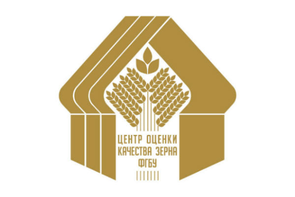 Алтайский «Центр оценки качества зерна» и АлтГУ обсуждают направления сотрудничества