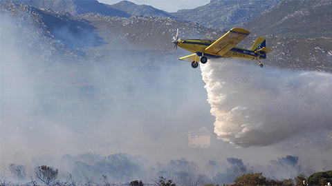 Учёные СФУ предложили способ быстрого тушения лесных пожаров