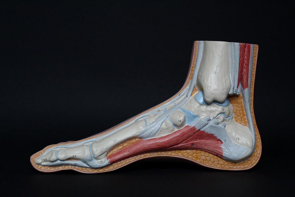 Технология, разработанная в ТУСУРе, поможет производителям ортопедической обуви