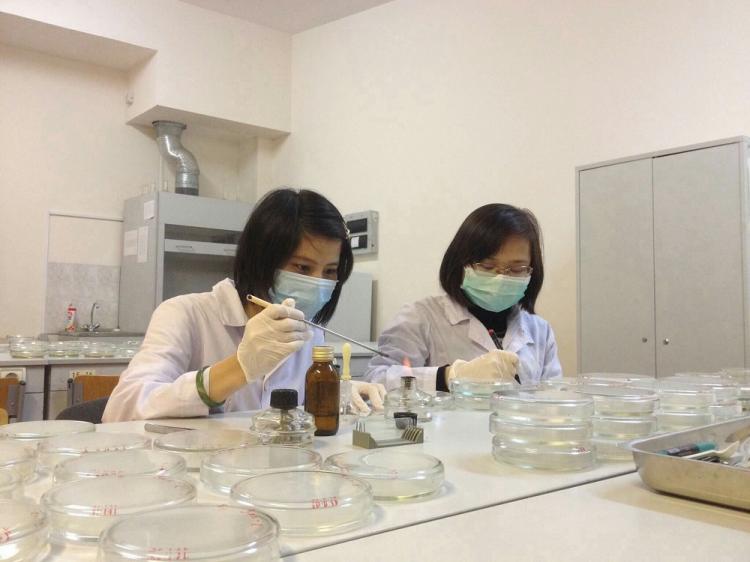 Учёные НИУ «БелГУ» назвали эффективные эфирные масла для создания противогрибковых биопрепаратов 