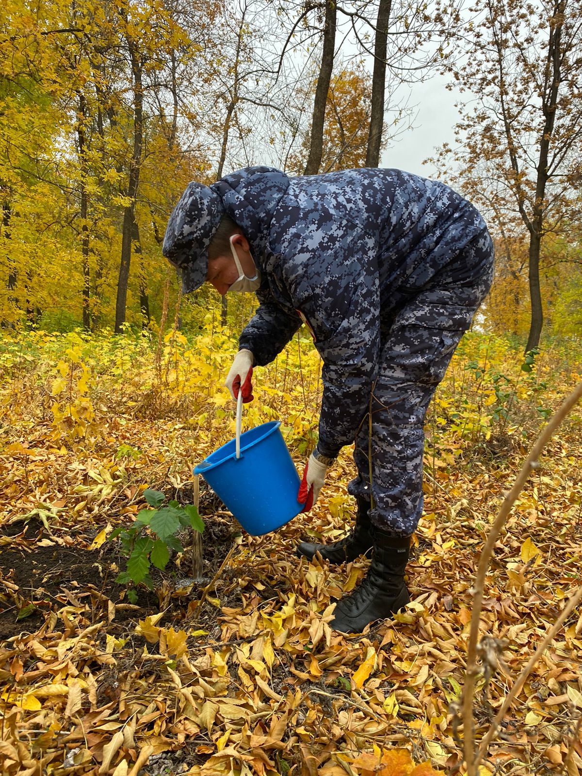 В Башкирии росгвардейцы в рамках акции «Зеленая Башкирия» высадили саженцы деревьев