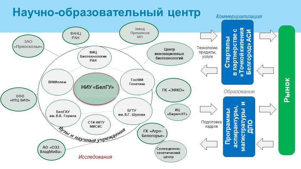 Белгу учебные планы