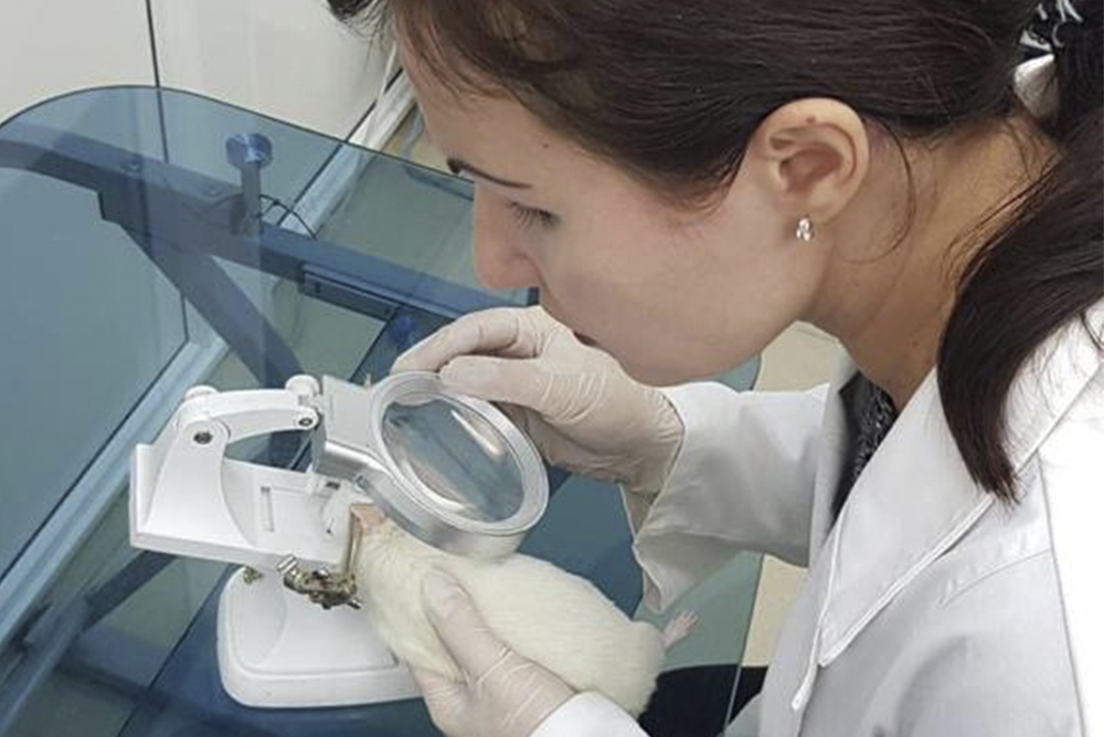 Фармакологи НИУ «БелГУ» разрабатывают новое офтальмологическое средство для поддержания здоровья сетчатки