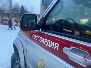 Подозреваемого в причинении легкого вреда здоровью задержали бойцы Росгвардии в Томске