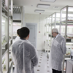 Намечены перспективные направления исследований Белгородского НОЦ "Инновационные решения в АПК" в области растениеводства